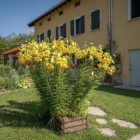 Casa Edith Libano Kültér fotó