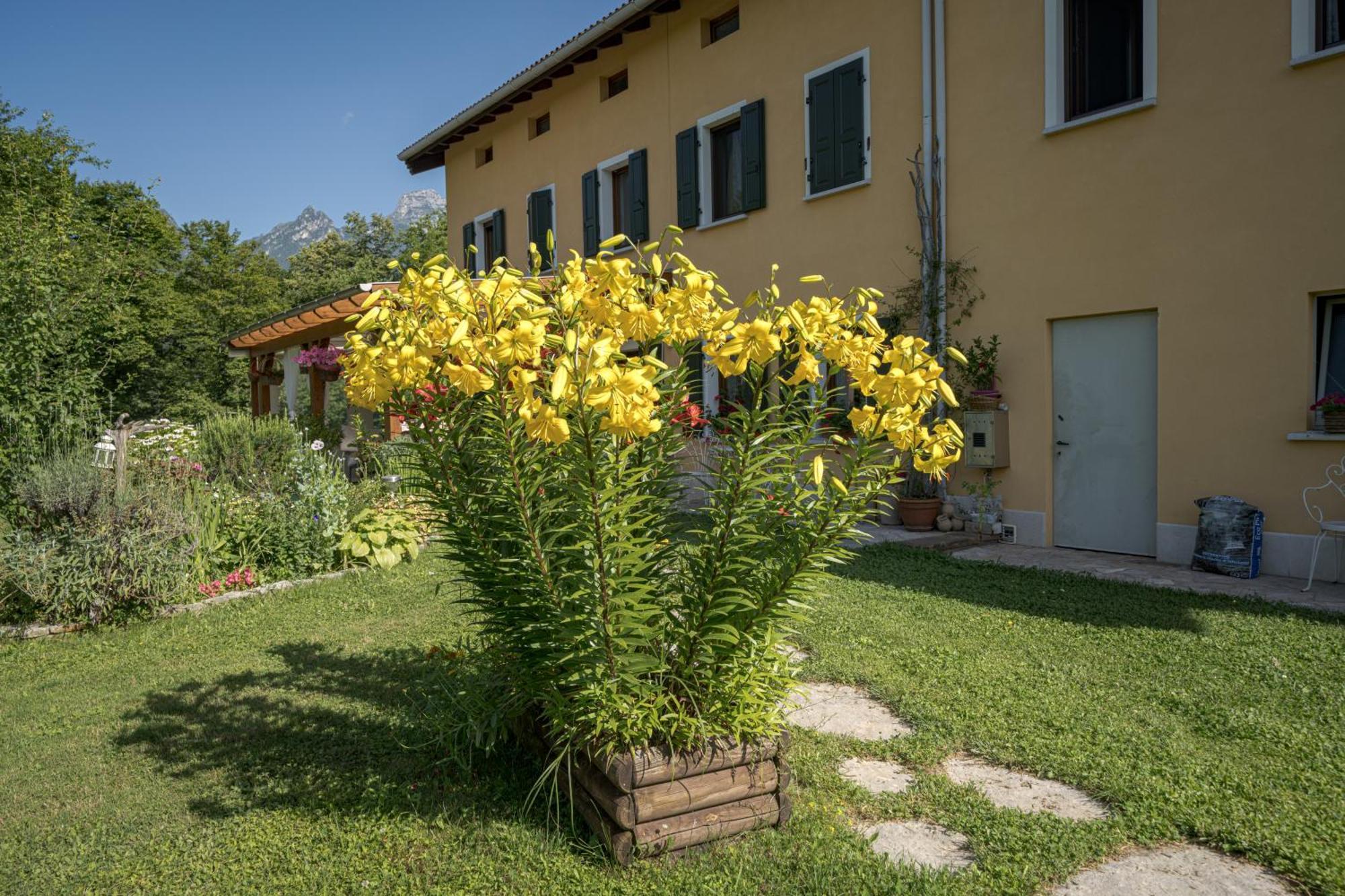 Casa Edith Libano Kültér fotó