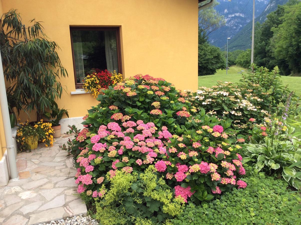 Casa Edith Libano Kültér fotó
